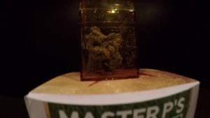 Master P Tree’s Gets a High 9 Review in The Cannabis Industry (VIDEO)
